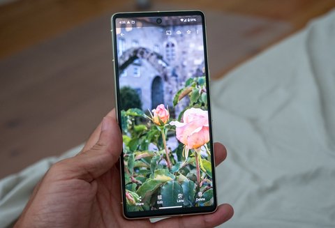 google pixel 7 pantalla