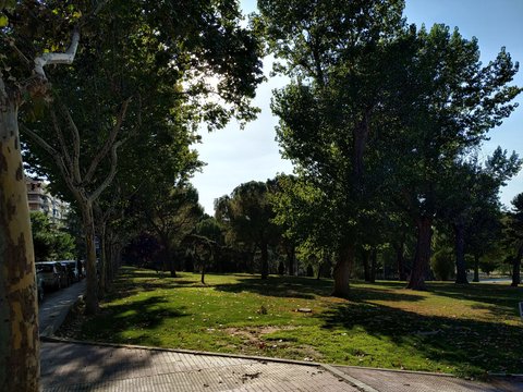 prueba camara xioami mi a2 hdr