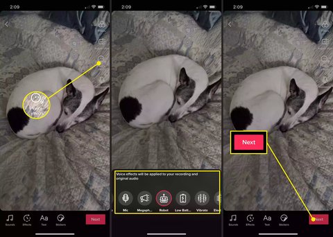cambios voz tiktok pasos