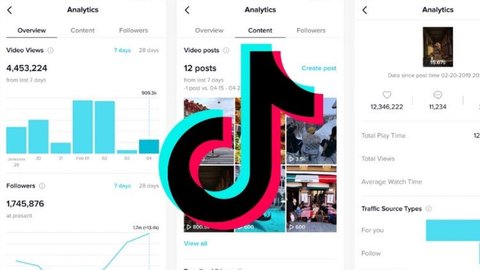 videos tiktok