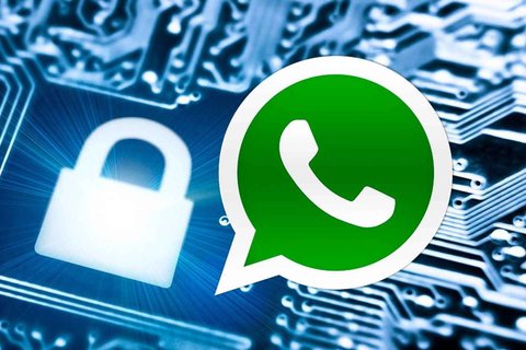 whatsapp seguridad
