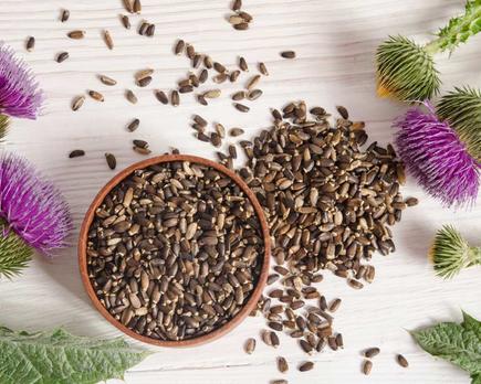 cardo mariano de mercadona ¿ qué beneficios tiene para el cuerpo humano?