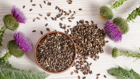 cardo mariano de mercadona ¿ qué beneficios tiene para el cuerpo humano?