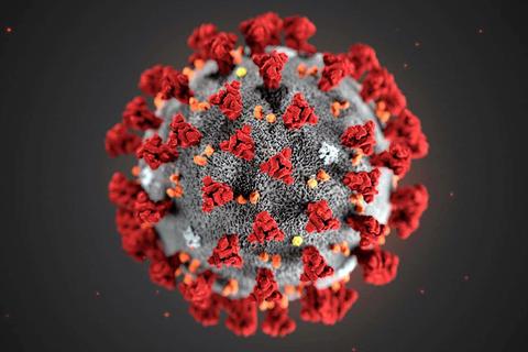 coronavirus covid 19