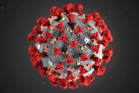 coronavirus covid 19