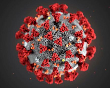 coronavirus covid 19