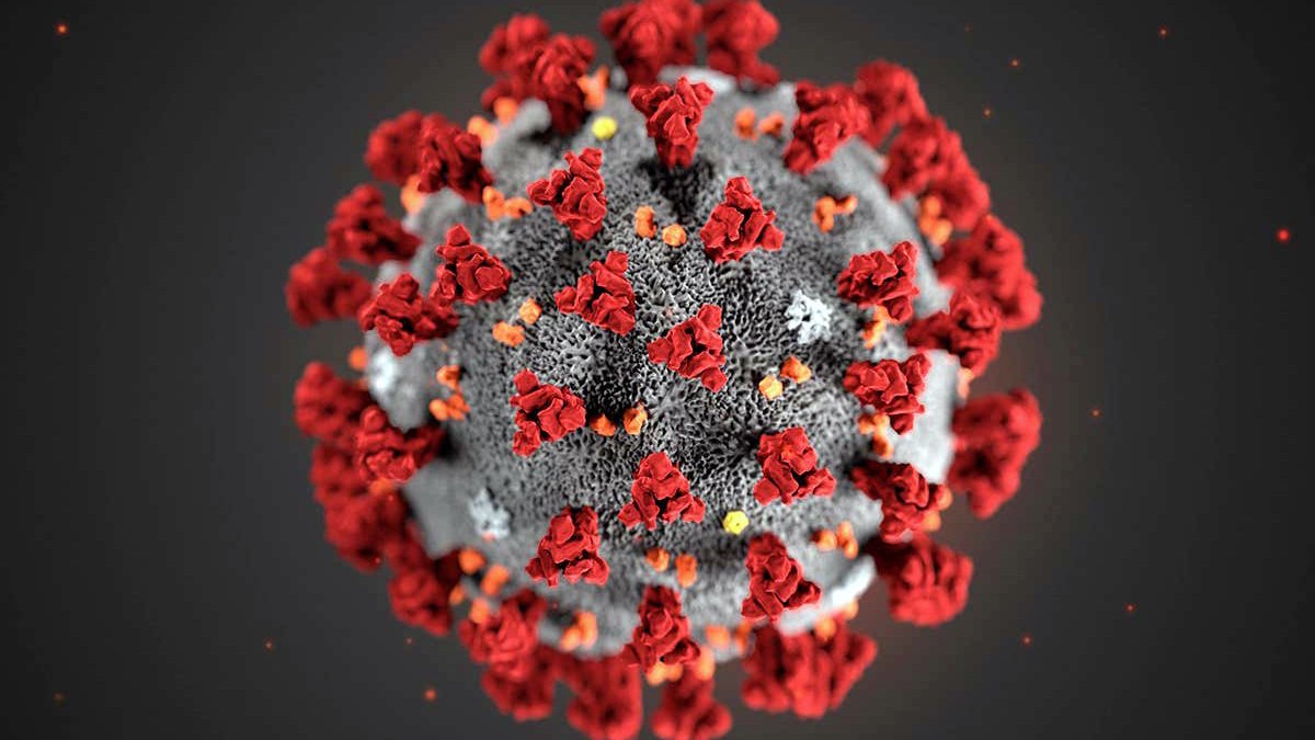 coronavirus covid 19