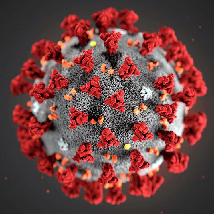 coronavirus covid 19