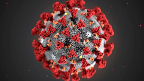 coronavirus covid 19