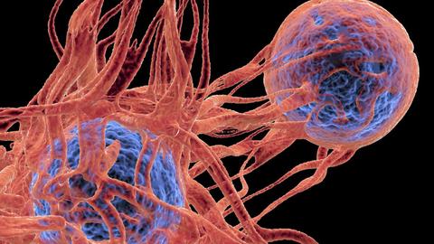 el descubrimiento del ec a d n podría revolucionar la investigación del cáncer