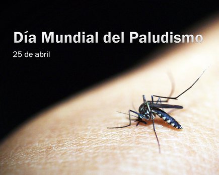 dia mundial malaria 2019