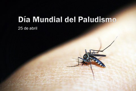 dia mundial malaria 2019