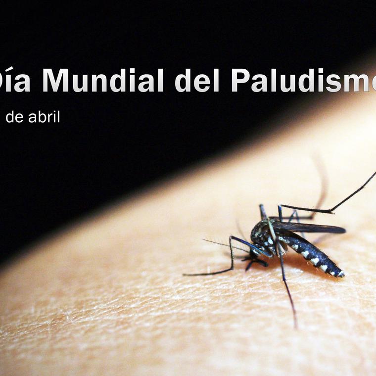 dia mundial malaria 2019