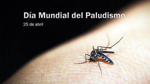 día mundial del paludismo 2019 día para la concienciación de la enfermedad que más muertes ha causado en el mundo