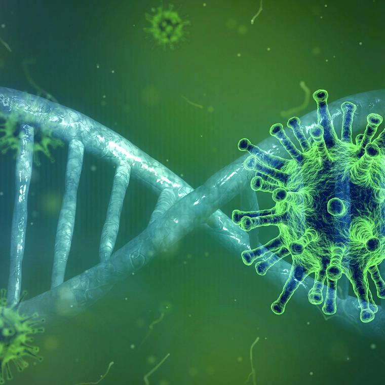 diferencia virus vs bacteria