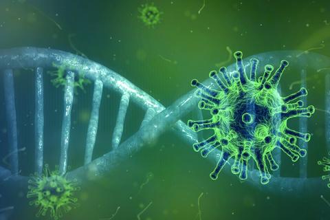 diferencia virus vs bacteria
