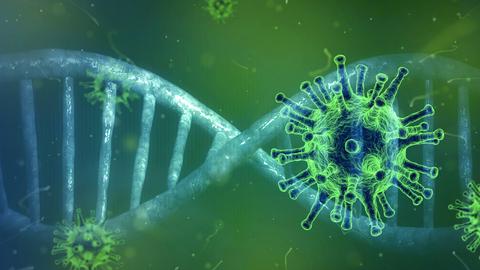 diferencia virus vs bacteria