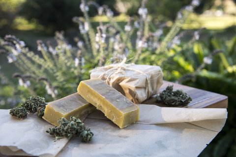 productos cannabis