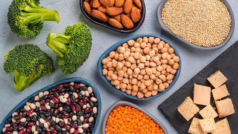 guia sobre proteinas de origen vegetal ventajas inconvenientes