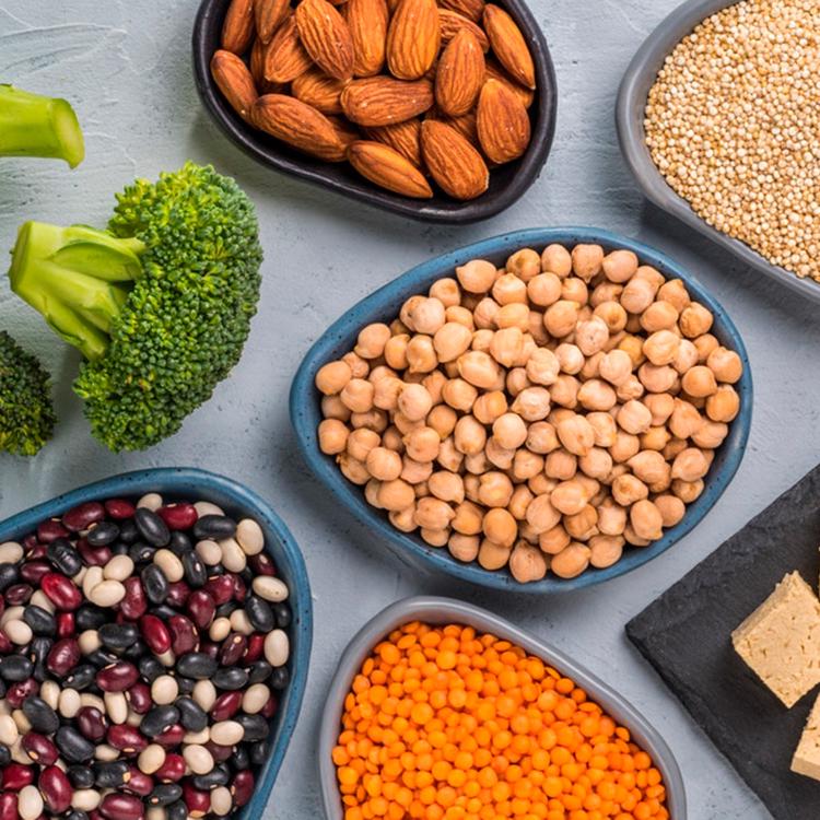 guia sobre proteinas de origen vegetal ventajas inconvenientes