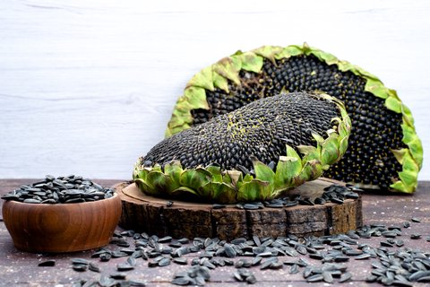 aceite de girasol