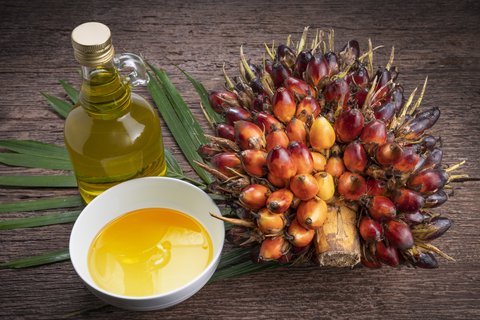 aceite de palma