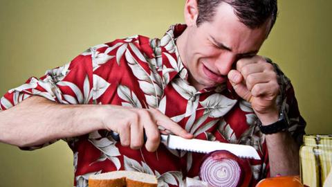 por que la cebolla nos hace llorar