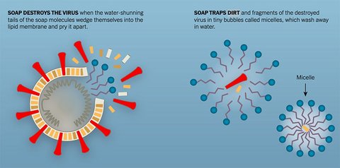 coronavirus jabon