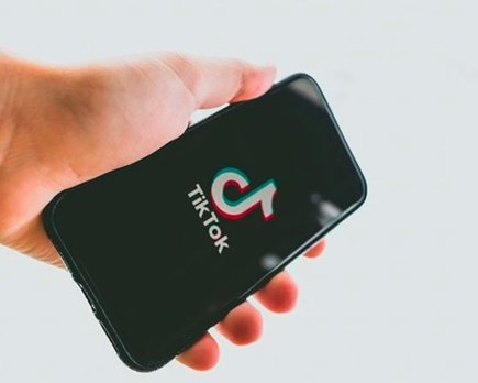 tiktok buscador keylogger