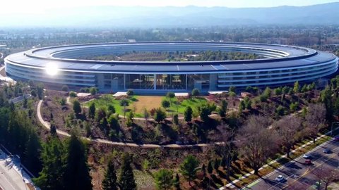 ceo apple