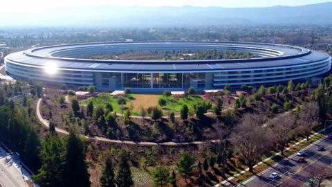 ceo apple