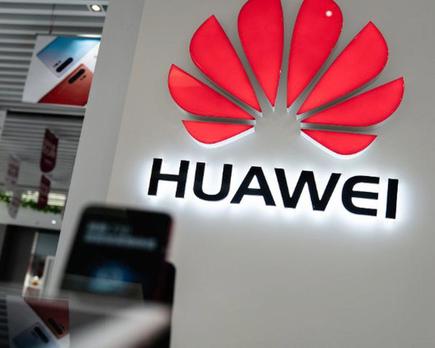 ceo huawei modo supervivencia