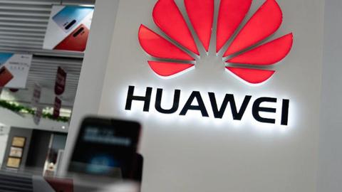 ceo huawei modo supervivencia