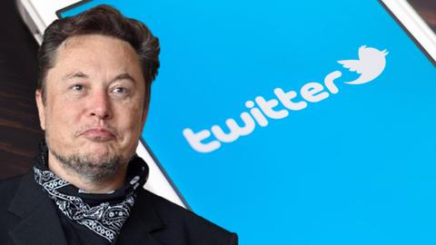 elon musk anuncia que los verificados ya están regresando