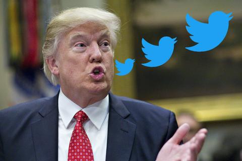 elon musk donald trump twitter