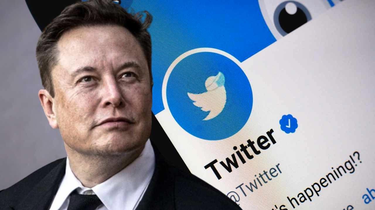 elon musk compra twitter