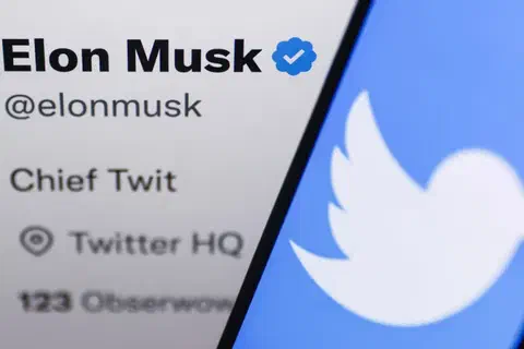elon musk verificado twitter