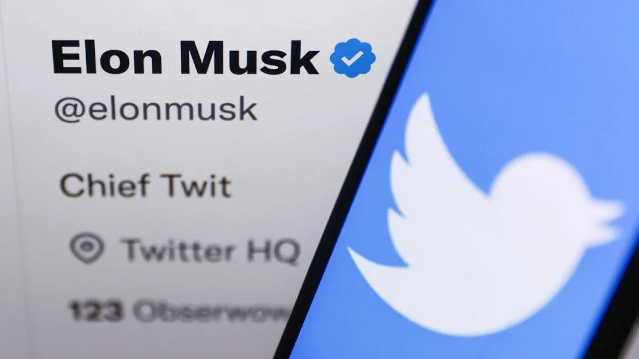 elon musk verificado twitter