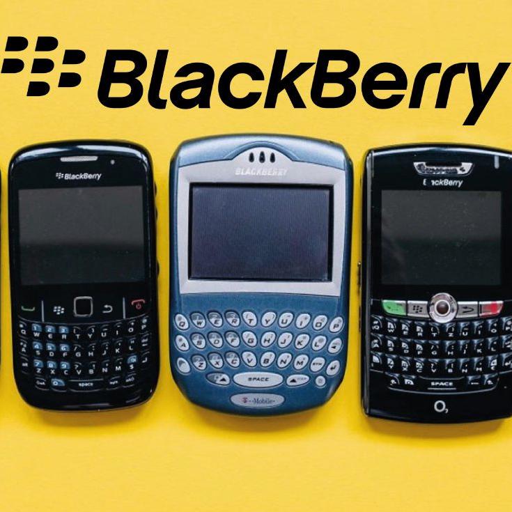 blackberry pelicula historia