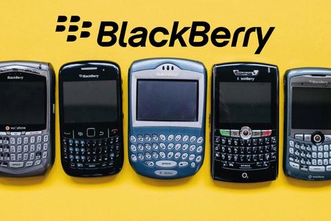blackberry pelicula historia