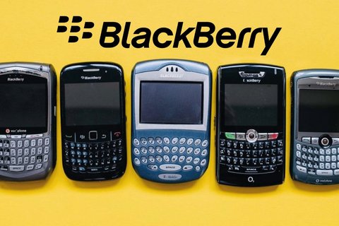 blackberry pelicula historia