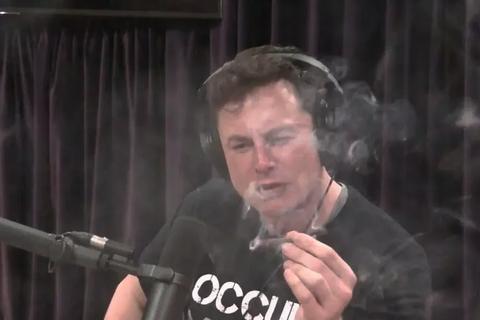 elon musk gobierno
