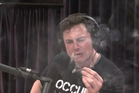 elon musk gobierno