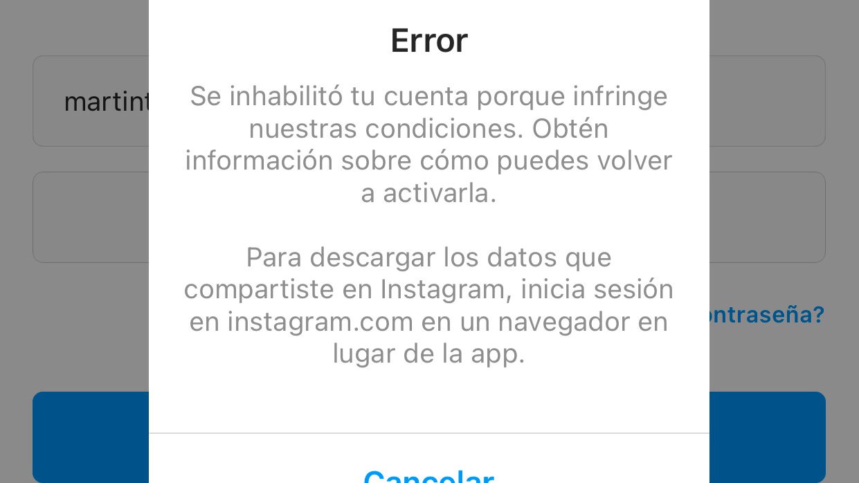 instagram suspende cuentas error