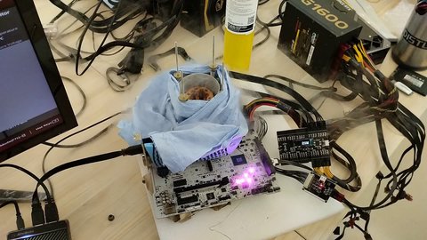 intel 2
