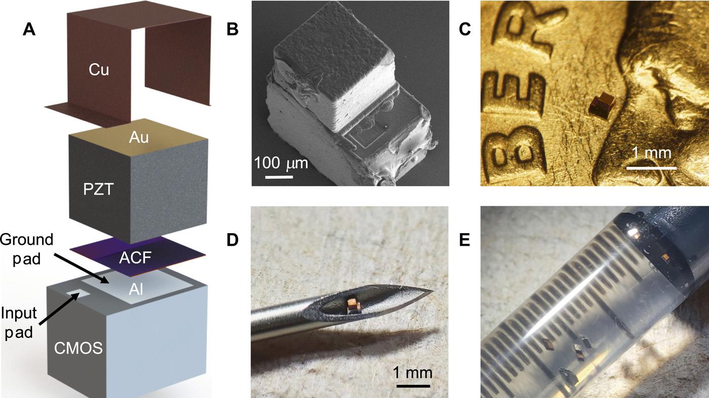 investigadores desarrollan chip inyectable