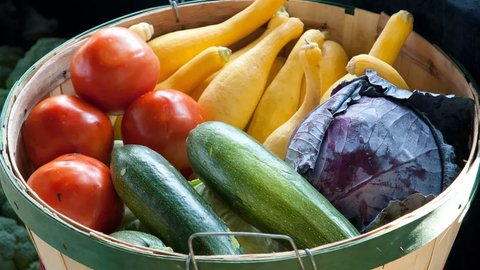 investigadores desarrollan envoltorio alimentario a base de plantas para sustituir plasticos