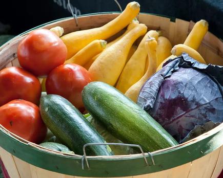 investigadores desarrollan un envoltorio alimentario a base de plantas que sustituye a los plásticos nocivos