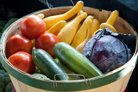 investigadores desarrollan envoltorio alimentario a base de plantas para sustituir plasticos