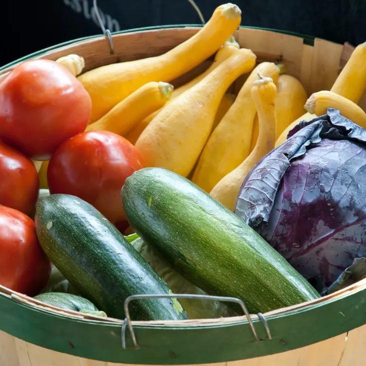 investigadores desarrollan envoltorio alimentario a base de plantas para sustituir plasticos